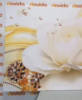 Obrazy kvetov Obraz luxusná ruža s abstrakciou