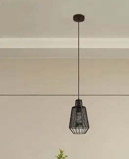 Závesné svietidlá Lucande Závesné svetlo Lucande Tinko v klietke, čierne, 20 cm