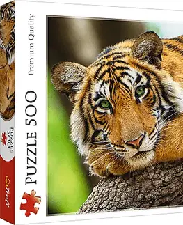 Hračky puzzle TREFL - Puzzle 500 - Portrét tigra