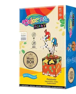 Kreatívne a výtvarné hračky PATIO - Colorino HOBBY Music Box Song of Bird