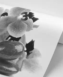 Samolepiace tapety Samolepiaca fototapeta čiernobiele kamene a orchidea