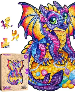 Hračky puzzle PUZZLER - Drevené farebné puzzle - Začarovaný drak