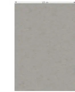 Koberce a koberčeky Koberec, sivá, 120x170, FRODO