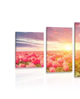 Obrazy kvetov 5-dielny obraz východ slnka nad lúkou s tulipánmi