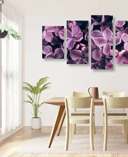 Obrazy kvetov 5-dielny obraz fialové kvety orgovánu
