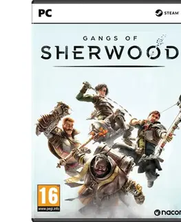 Hry na PC Gangs of Sherwood PC
