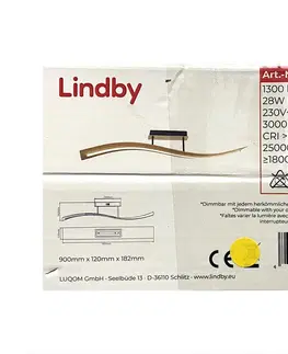 Svietidlá Lindby Lindby - LED Stmievateľný prisadený luster LARISA LED/28W/230V 