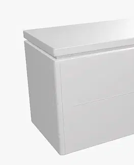 Úložné boxy Biohort Designový účelový box LoungeBox (strieborná metalíza) 160 cm (1 krabica)