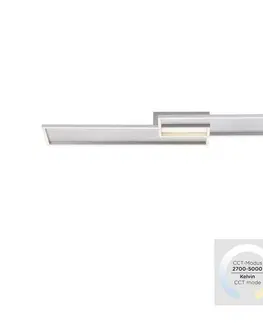 Svietidlá Paul Neuhaus Paul Neuhaus 8371-55 - LED Stmievateľné stropné svietidlo AMARA LED/40W/230V + DO 