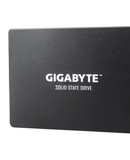 Pevné disky Gigabyte SSD 480 GB GP-GSTFS31480GNTD