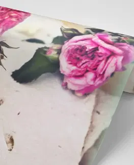Vintage a retro tapety Fototapeta ruže v rozkvete