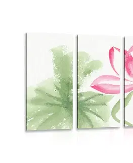 Obrazy kvetov 5-dielny obraz akvarelový lotosový kvet