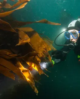 potápanie Pružná hadica k potápačskému octopusu Hyperflex opletená 100 cm žltá fluorescenčná