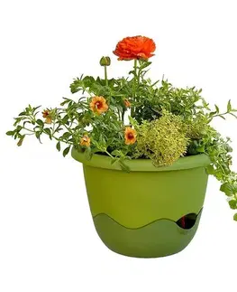 Kvetináče a truhlíky Samozavlažovací závesný kvetináč Mareta, zelená, 25 cm, Plastia