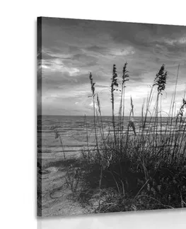 Čiernobiele obrazy Obraz západ slnka na pláži v čiernobielom prevedení