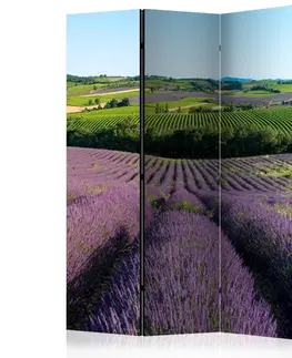 Paravány Paraván Lavender fields Dekorhome 135x172 cm (3-dielny)