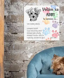 Tabuľky s venovaním (darčeky) Obraz na stenu - Tabuľka nad pelech pre psa s fotkou