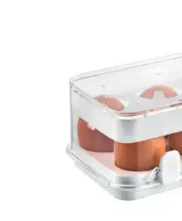 Dózy na potraviny TESCOMA Dóza zdravá plastová do chladničky PURITY, 10 vajec