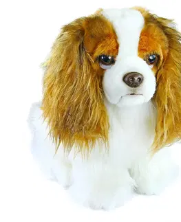Plyšáci Rappa Plyšový pes King Charles španiel, 25 cm