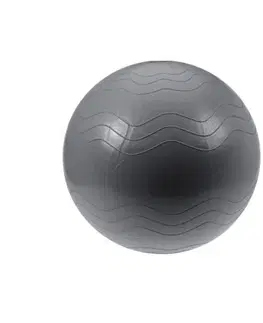 Gymnastické lopty XQ Max Pomôcka na cvičenie Yoga Ball pr. 65 cm, strieborná