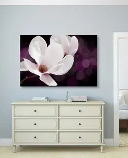Obrazy kvetov Obraz kvet magnólie na abstraktnom pozadí