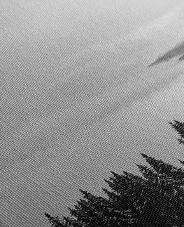 Čiernobiele obrazy Obraz chalúpka v zasneženej prírode v čiernobielom prevedení