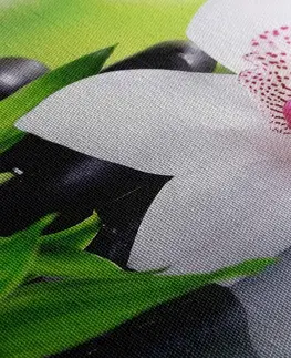 Obrazy Feng Shui Obraz orchidea s japonskou tematikou