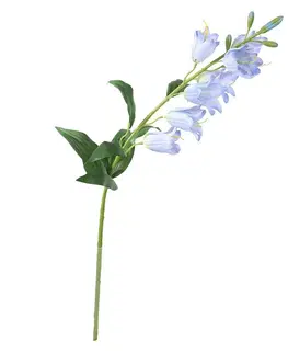Kvety Umelý Zvonček modrá, 70 cm