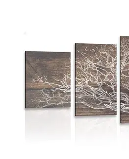 Obrazy stromy a listy 5-dielny obraz koruna stromu na drevenom podklade