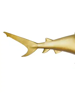 Bytové doplnky a dekorácie Nástenná dekorácia žralok DAKENTA Dekorhome Pravé