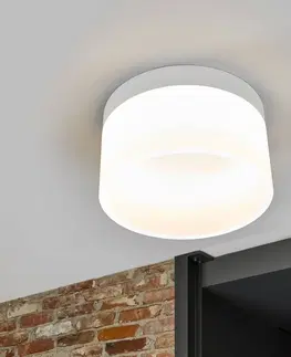 Stropné svietidlá Helestra Helestra Liv – stropné LED svietidlo 20 cm