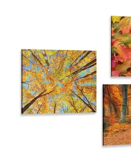 Zostavy obrazov Set obrazov príroda v jesenných farbách