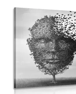 Čiernobiele obrazy Obraz abstraktná tvár v podobe stromu