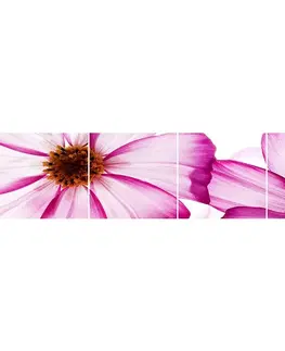 Dekoračné panely Sklenený panel 60/240 Flowers-1 4-Elem