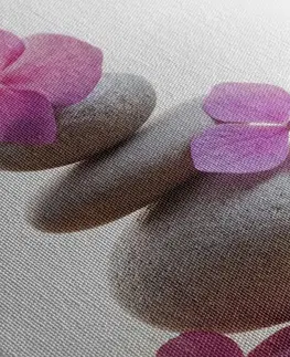 Obrazy Feng Shui Obraz balans kameňov a ružové orientálne kvety
