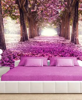 Tapety Samolepiaca tapeta ružový park - Pink path