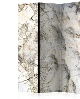 Paravány Paraván Marble Mystery Dekorhome 135x172 cm (3-dielny)