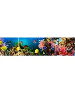 Dekoračné panely Sklenený panel 60/300 Aquarium-1 5-Elem