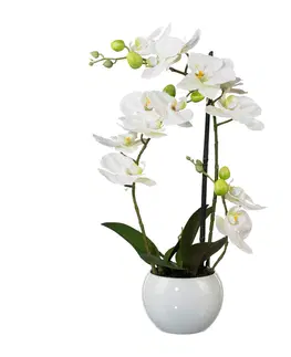 Kvety Umelá Orchidea v kvetináči, 42 cm
