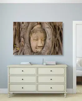 Obrazy Feng Shui Obraz Budhov posvätný figovník
