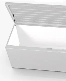 Úložné boxy Biohort Designový účelový box LoungeBox (strieborná metalíza) 160 cm (1 krabica)