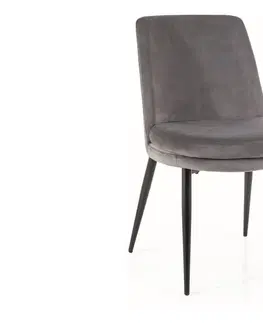 Jedálenské stoličky KENNIE jedálenská stolička, šedá 