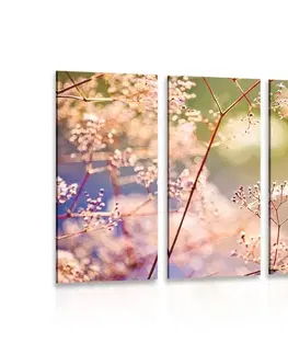 Obrazy prírody a krajiny 5-dielny obraz zátišie z kvetov