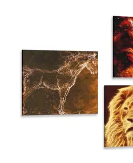 Zostavy obrazov Set obrazov abstraktné zvieratá