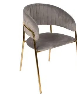 Čalúnené stoličky Stolička Glamour sivá