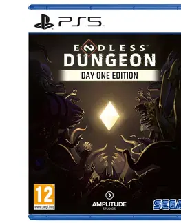 Hry na PS5 Endless Dungeon (Day One Edition) PS5