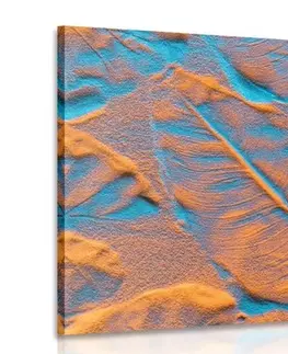 Obrazy prírody a krajiny Obraz textúra listov na piesočnatej pláži