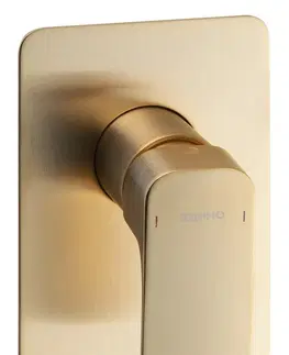 Kúpeľňové batérie SAPHO - SPY podomietková sprchová batéria, 1 výstup, zlato mat PY41/19
