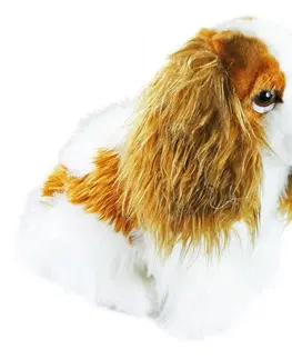 Plyšáci Rappa Plyšový pes King Charles španiel, 25 cm