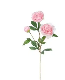 Kvety Umelá pivonka, 67 cm, sv. ružová